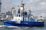ID 4424 SHAMROCK (1915) - Seen here making for the start line of the 168th Auckland Anniversary Day Regatta tug race. 
Built in 1915 for Arch McCarthy for the Waitakaruru to Thames run. When the Kopu bridge...